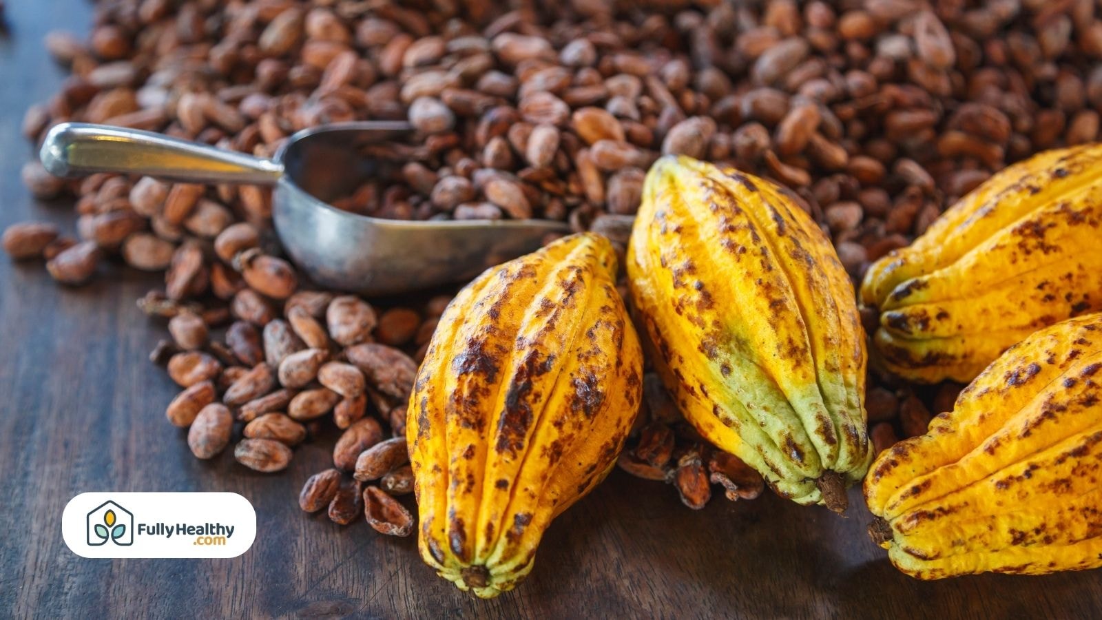 Ripe cacao pods with cocoa beans and metal scoop background