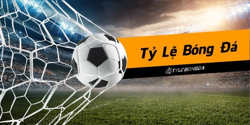 Tỷ lệ bóng đá Nowgoal - Cách đọc và phân tích hiệu quả