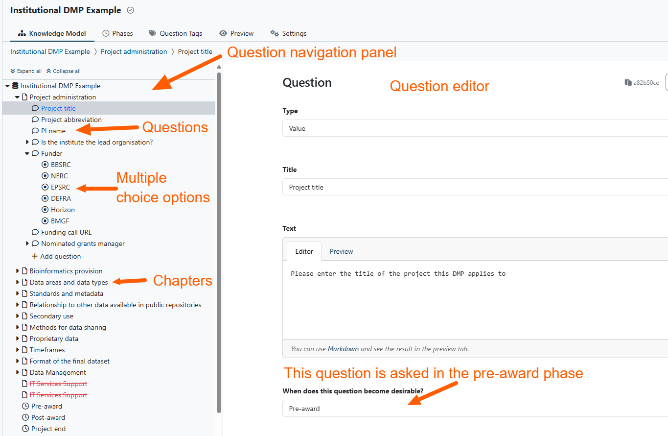 The DSW question editor