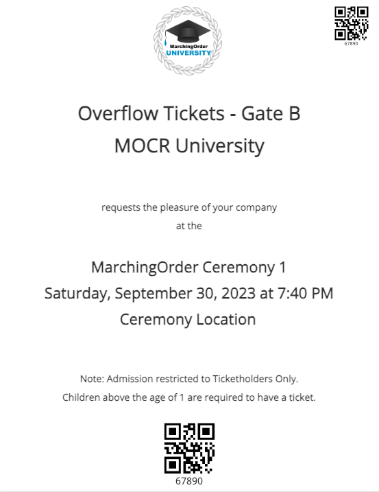 Sample Overflow Ticket