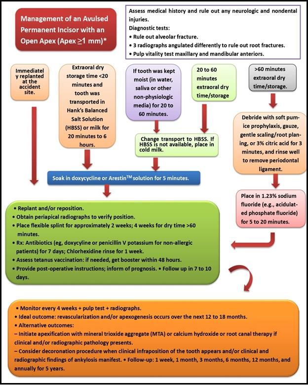 Traumatic Dental Injuries