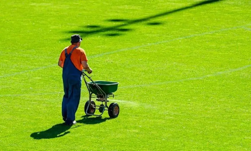 Bermuda Grass Fertilization