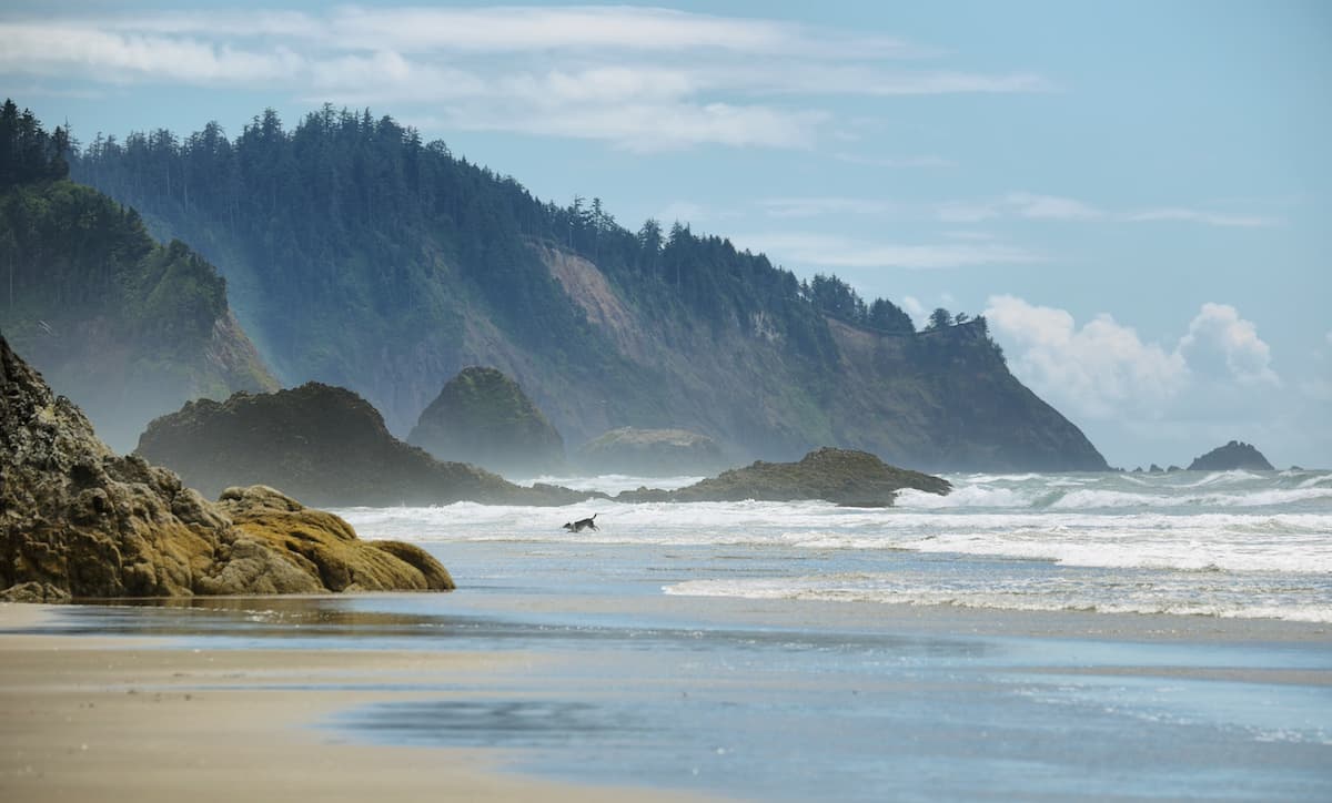 Rugged coastline near Seaside Oregon with dog running along the shoreline and forests in the background