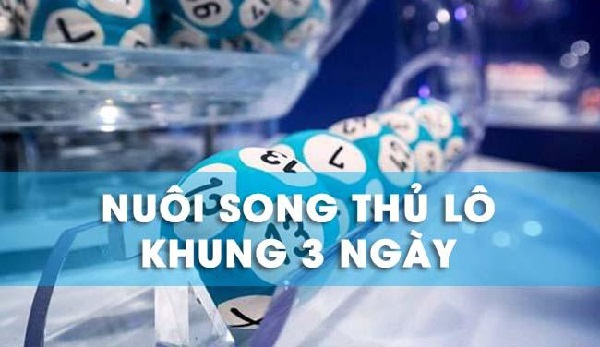  Bí quyết nuôi song thủ lô khung 3 ngày