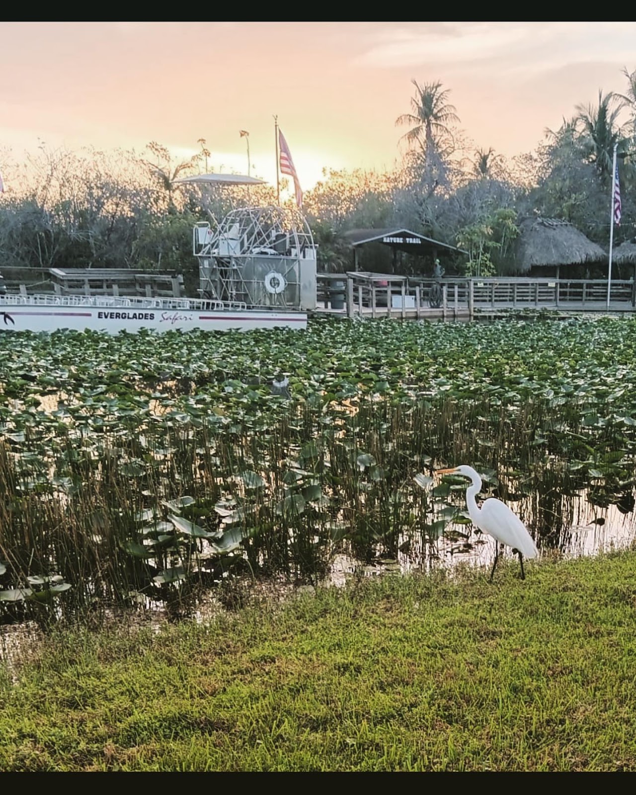 Day-Trip to the Everglades