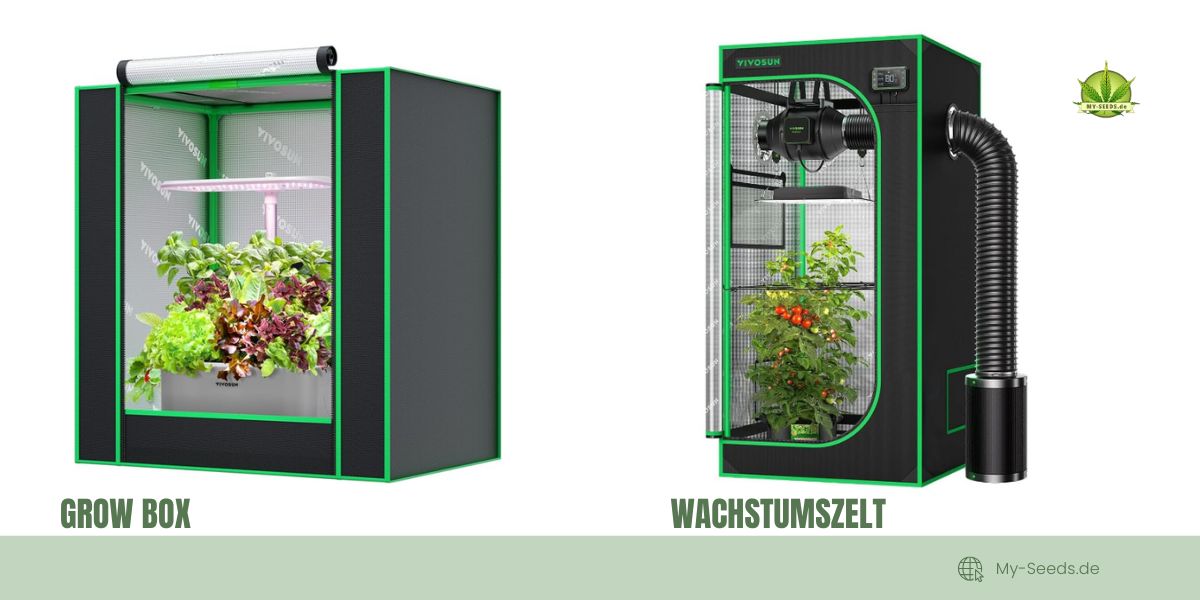 Die All-in-One-Lösungen ermöglichen eine mühelose Kontrolle von Licht, Temperatur und Luftzirkulation. Darüber hinaus passt das diskrete Design der Grow-Box-Koffer sogar in Ihren Kleiderschrank, sodass Ihr Anbau praktisch unsichtbar ist.