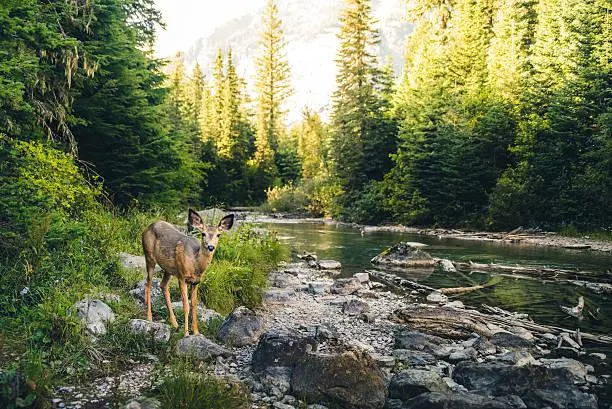 18 Sunset Light Catching Natural Textures, sunset texture, scenic light, nature, forest, landscape, golden glow, nature detail