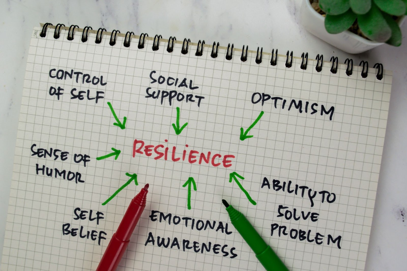 resilience social support optimism