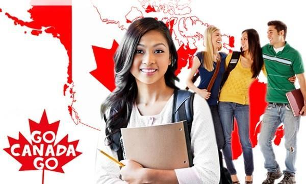 Visa du học Canada diện chương trình Co-op được cấp cho sinh viên đạt chuẩn