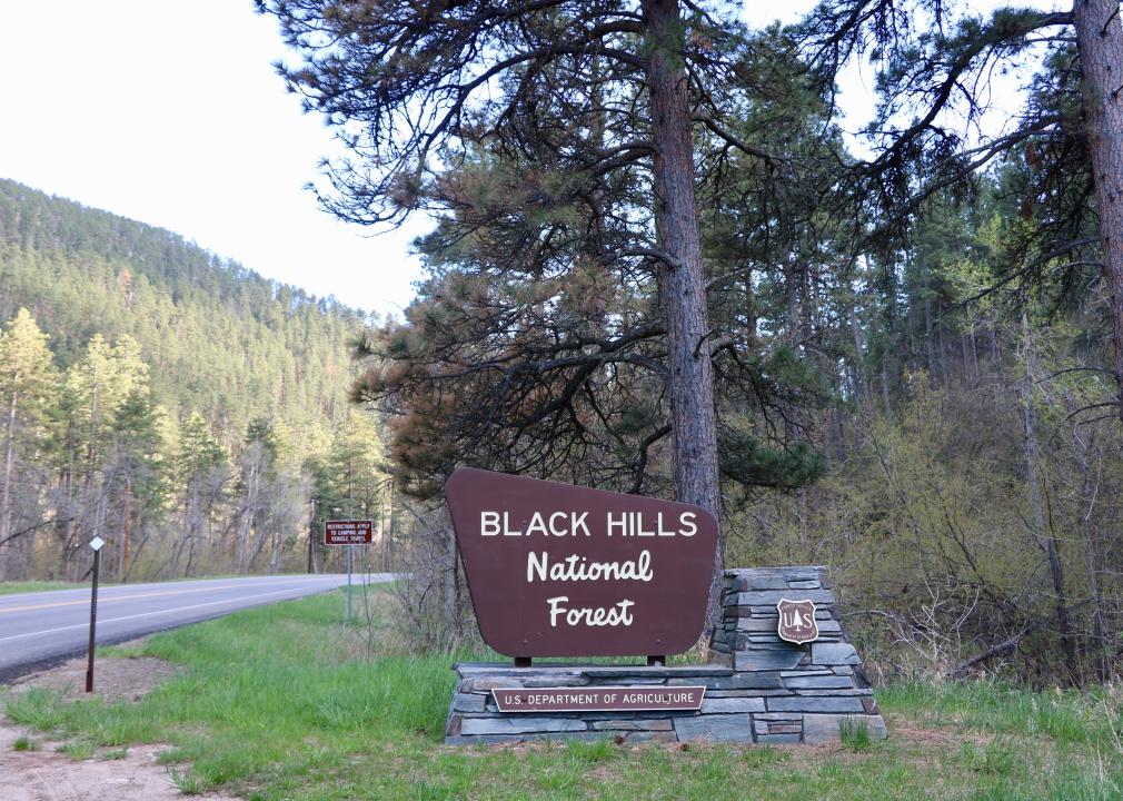 Black Hills National Forest sign.