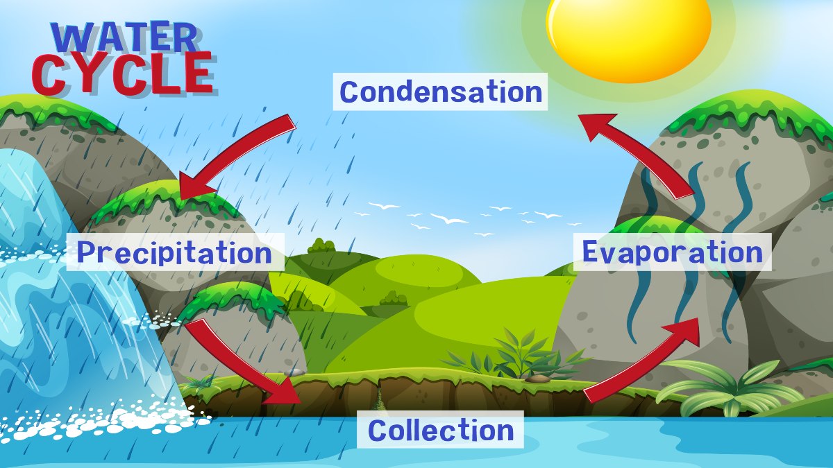 Water Cycle from Evaporation and Condensation