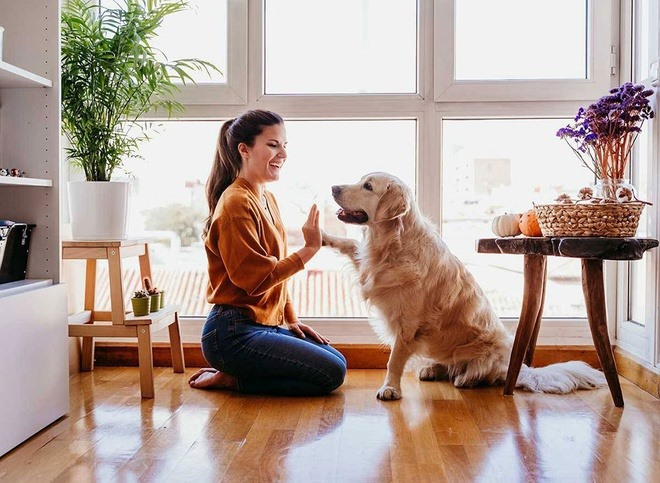 Lợi ích của việc nuôi thú cưng đối với sức khỏe và tinh thần 4