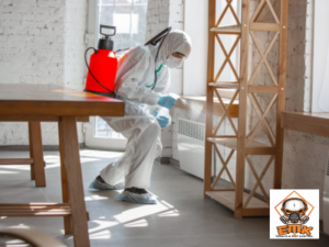 Post-Treatment Care After Termite Treatment Sydney