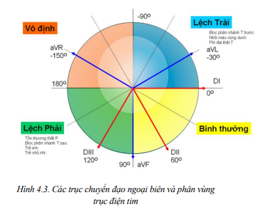 A diagram of a circle with different colored circles