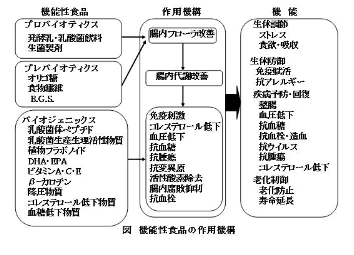 バイオジェニックスとは？意味や健康への効果などについて解説 | ヤヱガキ醗酵技研株式会社