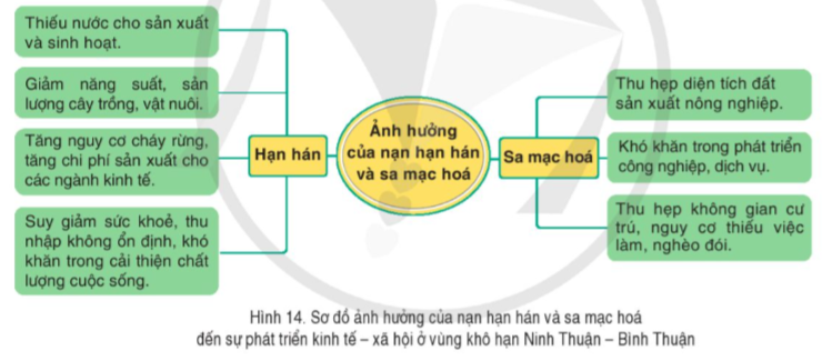 BÀI 14. THỰC HÀNH: PHÂN TÍCH ẢNH HƯỞNG CỦA NẠN HẠN HÁN VÀ SA MẠC HOÁ Ở VÙNG KHÔ HẠN NINH THUẬN – BÌNH THUẬN