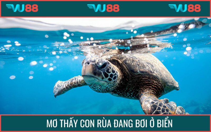 Chiêm bao thấy đang bơi trong biển