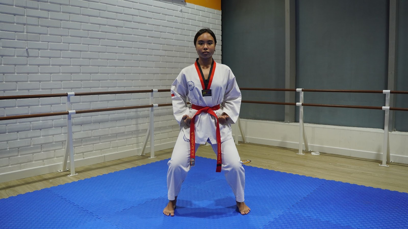 Types of Taekwondo Stances - Sitting Stance (juchum seogi) 