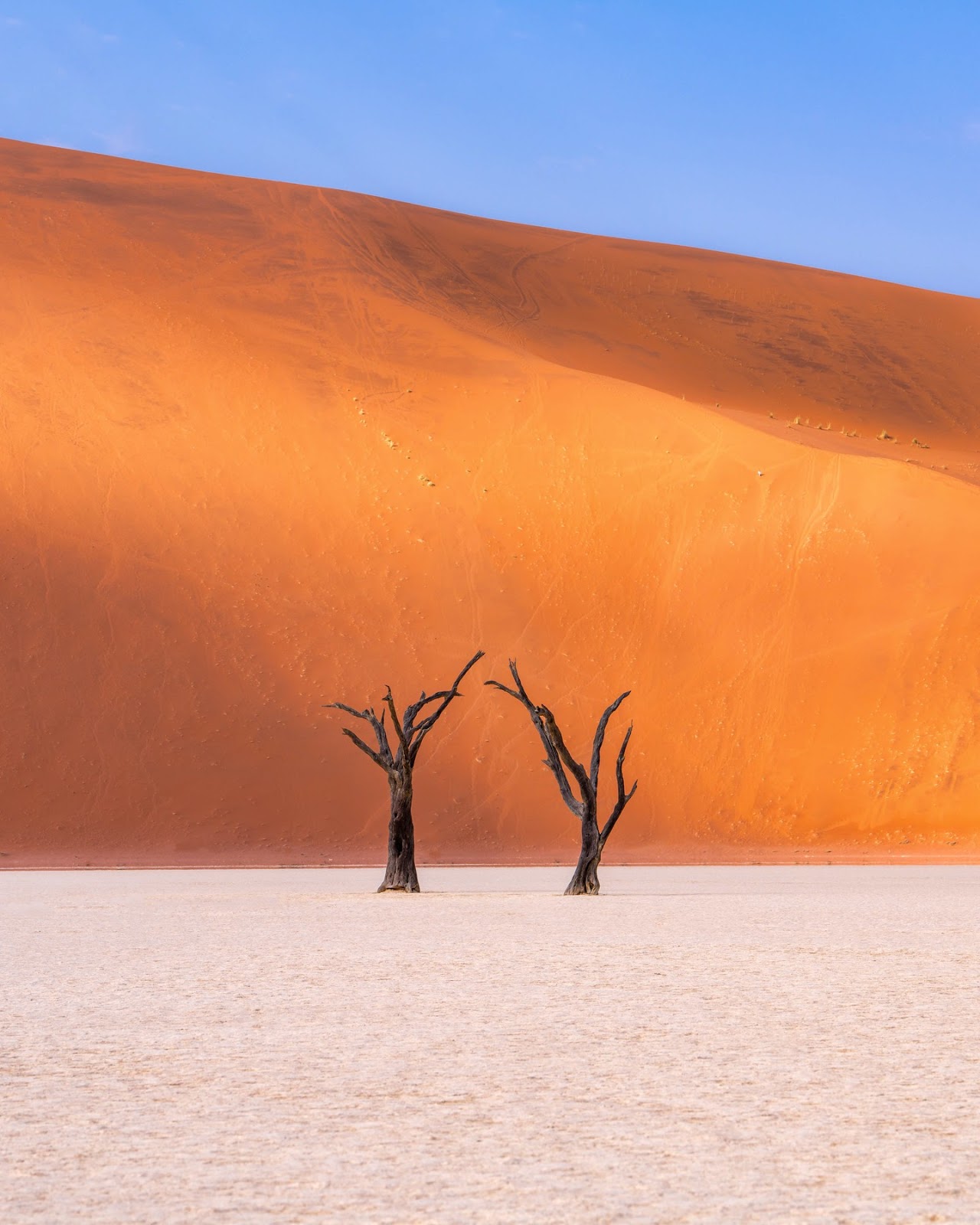  Deadvlei 