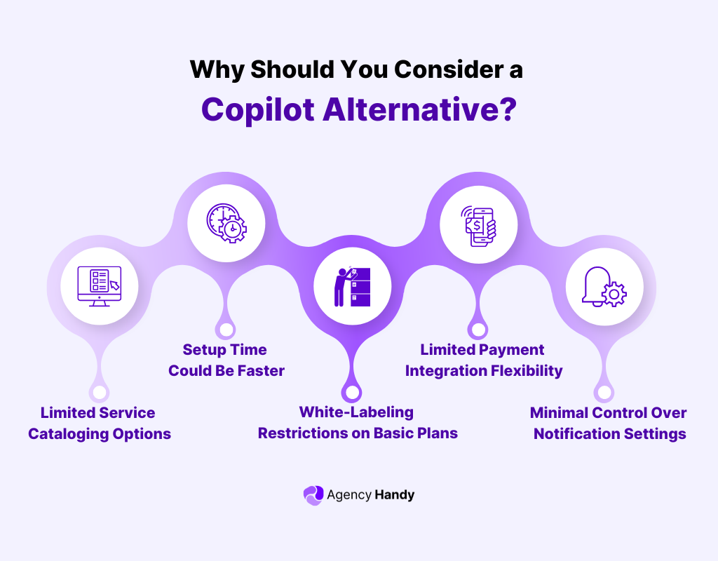 Why Should You Consider a Copilot Alternative?