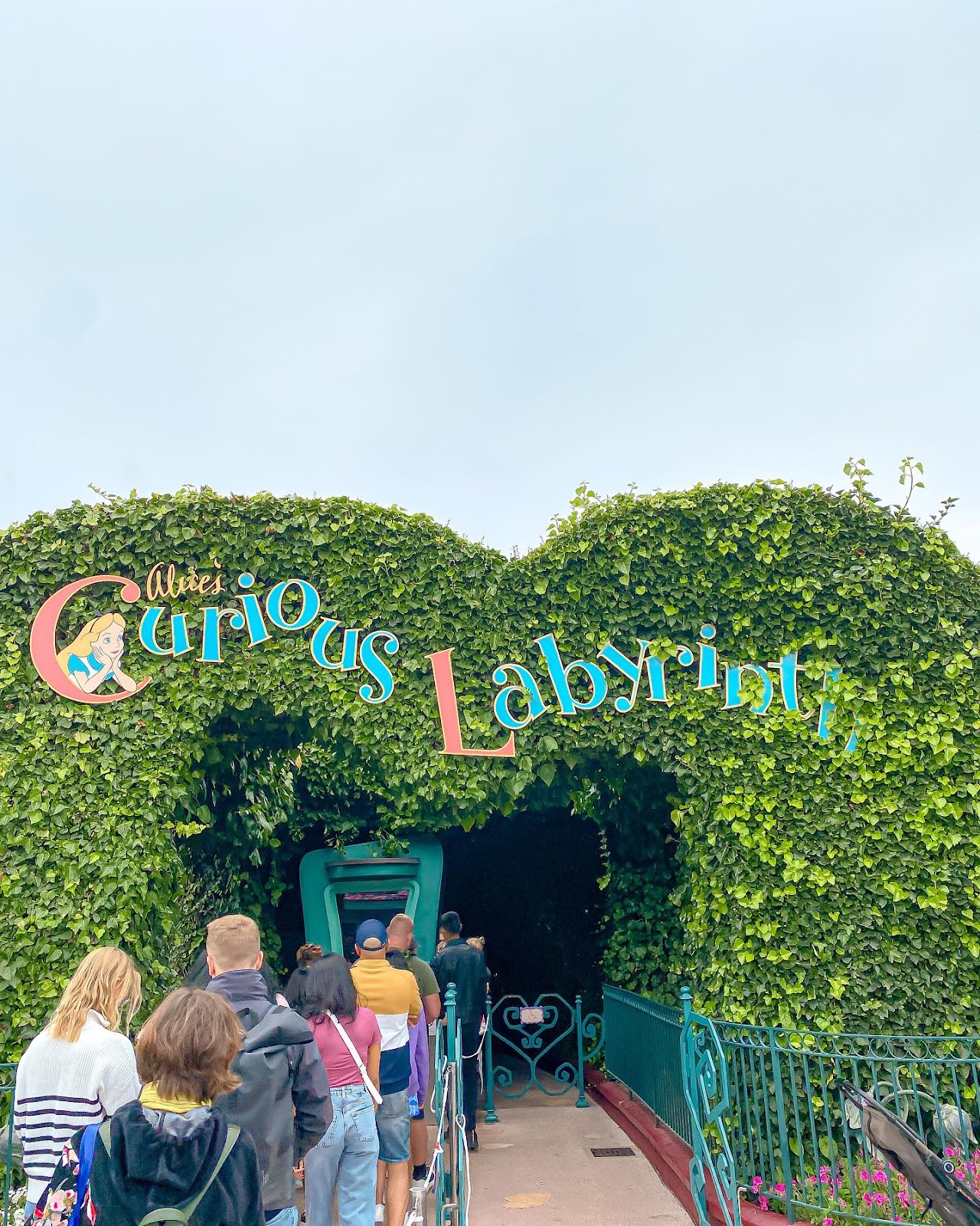 Alice’s Curious Labyrinth