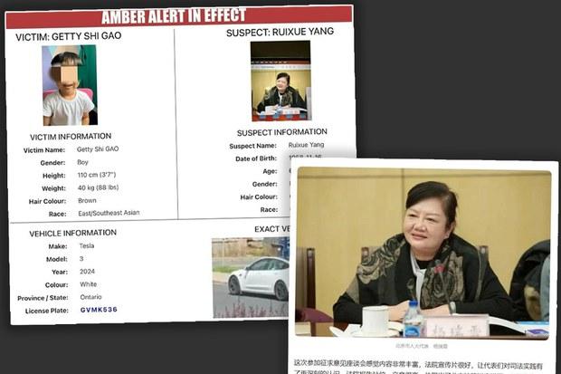 華裔男童險被帶離加拿大　女疑犯與前北京人大代表同名