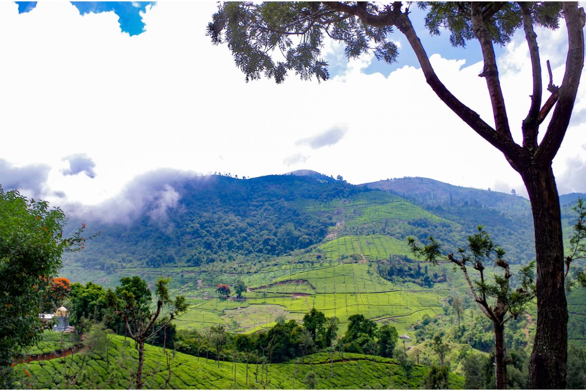 other tourist places near kodaikanal