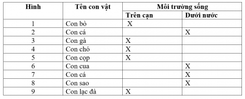 2. Phân loại thực vật và động vật theo môi trường sống