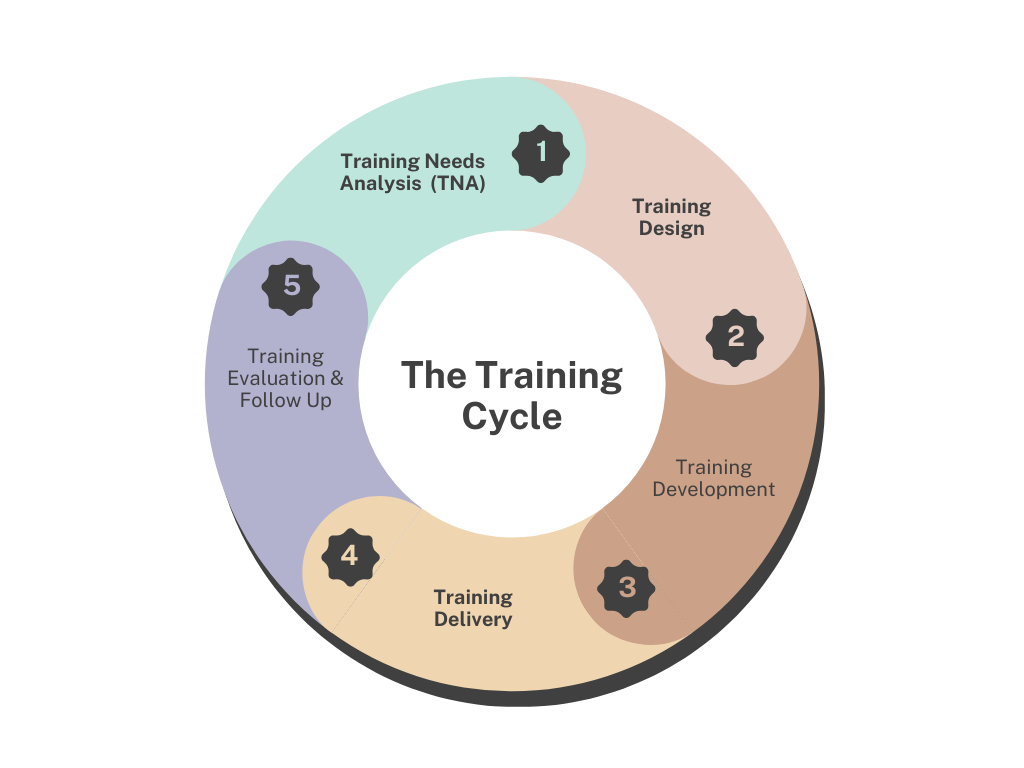 A diagram of training cycle
