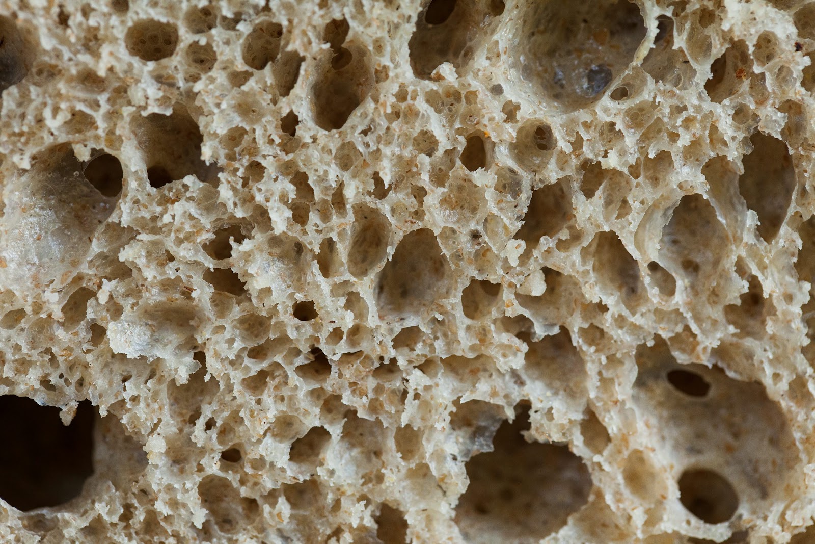 Fragmentos de piedra blanca y gris