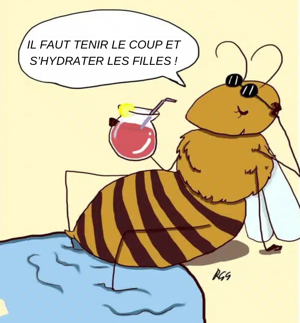 L'eau et les abeilles : l'importance de l'eau dans leur quotidien - ALIMENTATION & NOURRISSEMENT