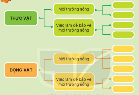 BÀI 20. ÔN TẬP CHỦ ĐỀ THỰC VẬT VÀ ĐỘNG VẬTTHỰC HÀNHCâu 1: Hoàn thành sơ đồ theo gợi ý sau:Đáp án chuẩn:VẬN DỤNG