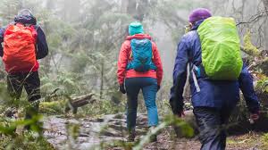 campers wearing their waterproof gear in the rain within the forest as one of the  top survival hacks for rainy weather camping