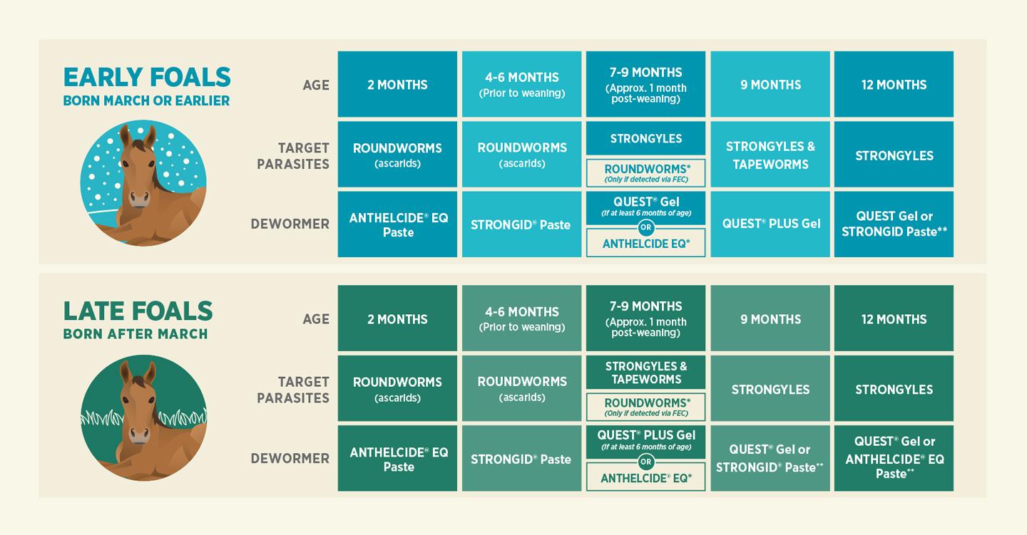 A chart of a baby's schedule

Description automatically generated with medium confidence