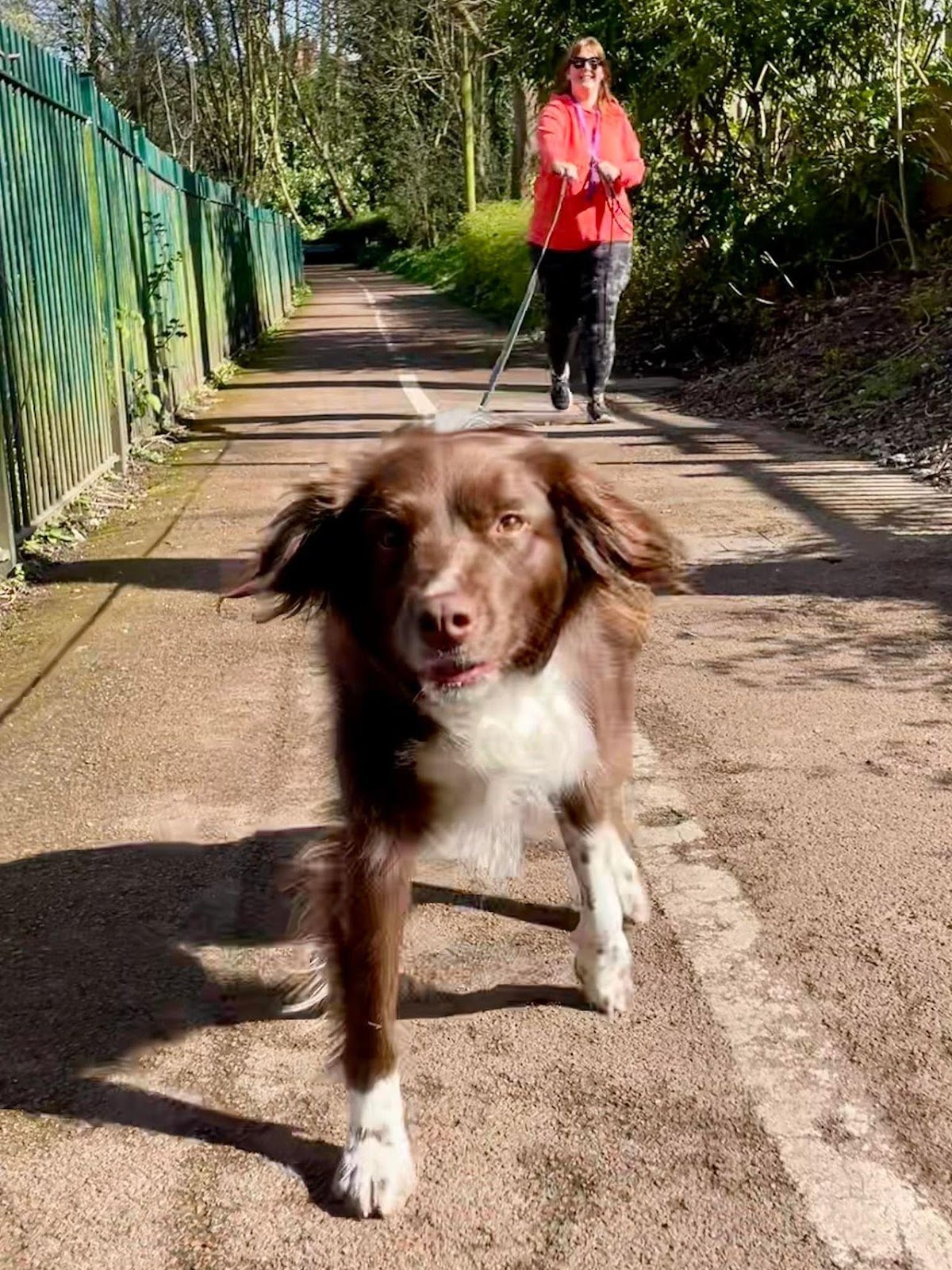 Good line handling is key to man trailing and pet trailing!
