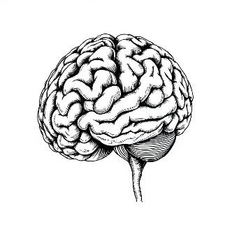 A black and white drawing of a brain

AI-generated content may be incorrect.