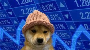 Dogwifhat (WIF) Price: Memecoin Mania Returns