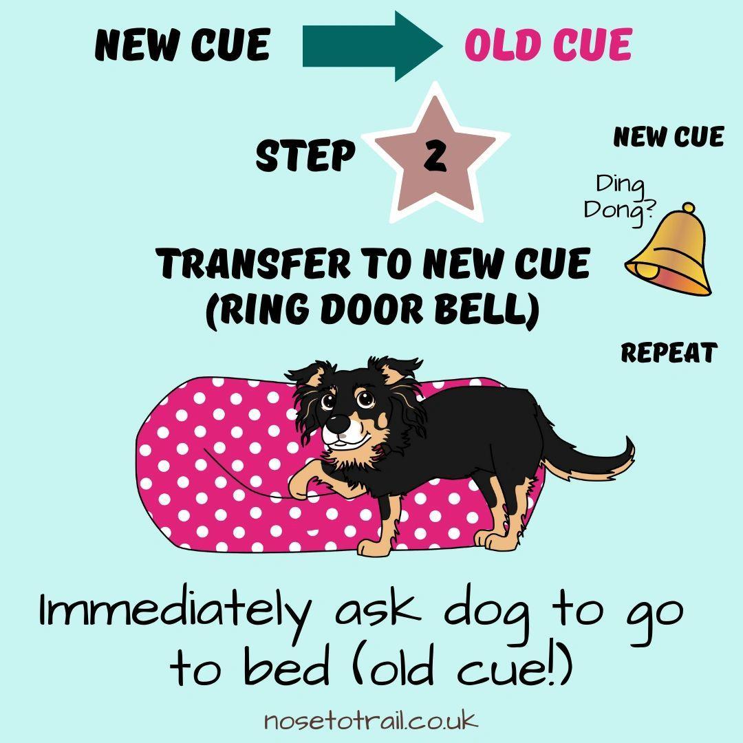 infographic showing part 2 of the process a dog learning to go to bed at the sound of a doorbell