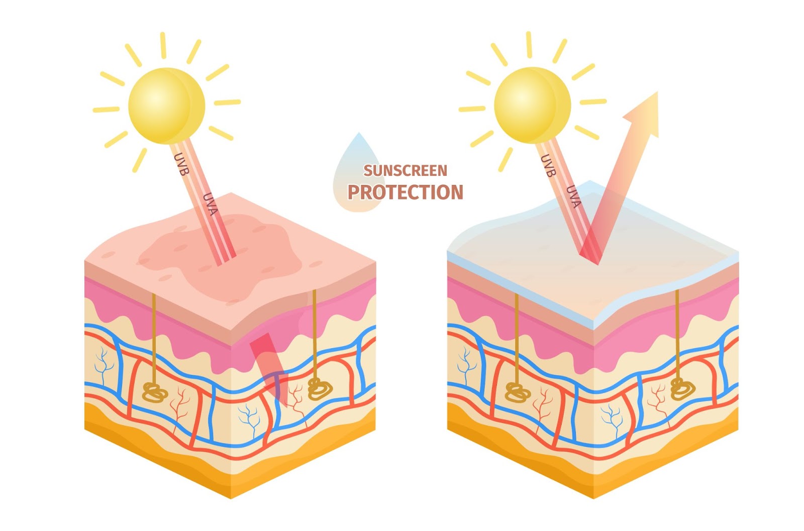 can you wear sunscreen all year round