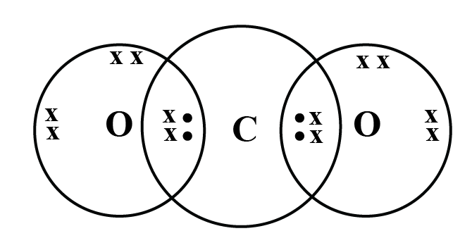 Cross dot structure of CO2 is.png