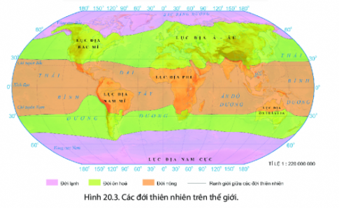 BÀI 20: SINH VẬT VÀ SỰ PHÂN BỐ CÁC ĐỚI THIÊN NHIÊN. RỪNG NHIỆT ĐỚII. Sự đa dạng của thế giới sinh vật1. Thực vậtThực vật có vai trò chủ yếu trong sự hình thành các thảm thực vật. Hiện có gần 300000 loài thực vật đã được xác định trên thế giới2. Động vậtĐộng vật có khả năng di chuyển để thích nghi với môi trường nên sự phân bố của động vật ít phụ thuộc vào khí hậuII. Các đới thiên nhiên trên thế giớiCâu 1: Dựa vào hình 20.3 em hãy xác định trên bản đồ các đới thiên nhiên trên thế giới:Giải nhanh:III. Rừng nhiệt đớiCâu 2: Dựa vào hình 20.4, em hãy nhận xét về các tầng cây của rừng mưa nhiệt đới.Giải nhanh:Rừng mưa nhiệt đới được chia làm các tầng khác nhau, hay còn gọi là lớp, với thảm thực vật được cấu tạo thành một mô hình chiều dọc thẳng đứng từ mặt đất đến tán rừng: tầng cỏ quyết, tầng cây bụi, tầng cây gỗ cao. Mỗi tầng ba gồm các loài động, thực vật khác nhau thích nghi với điều kiện sống ở riêng tầng đó. I. Luyện tậpCâu 1:  Em hãy kể tên một số loài sinh vật trên cạn và dưới nước mà em biếtGiải nhanh:TRÊN CẠNDƯỚI NƯỚCHổ, báo, hươu, ngựa, gà, mèo, sư tử,....Cá, tôm, rùa, sao biển, sứa, mực,.…Câu 2: Cho biết một số rừng nhiệt đới mà em biếtGiải nhanh:Cho biết một số rừng nhiệt đới mà em biết như rừng A-ma-dôn, rừng nhiệt đới ở Madagascar, Jambi, Daintree ở Queensland,....II. Vận dụng