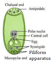 ncert-solutions-class-12-biology-chapter-2-question6