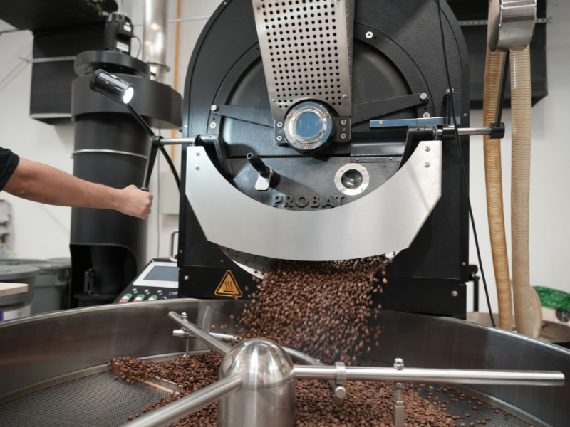 Probat coffee bean roaster in action