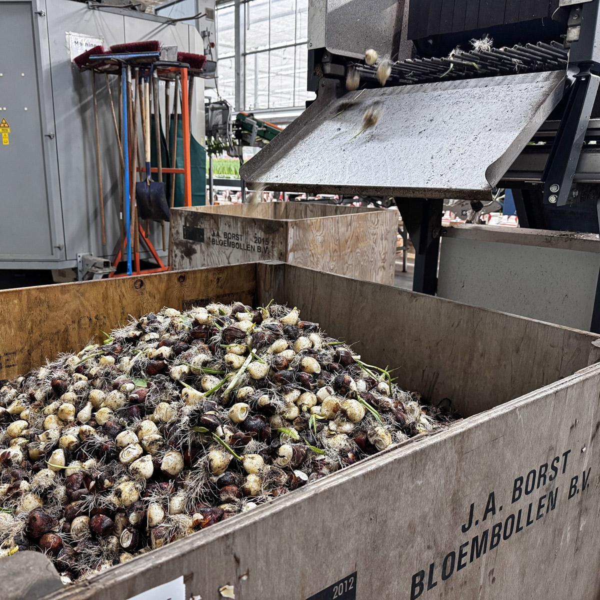 Afbeelding met gebouw, eetbare zeevis en schaal- en schelpdieren, doos, markt

Automatisch gegenereerde beschrijving