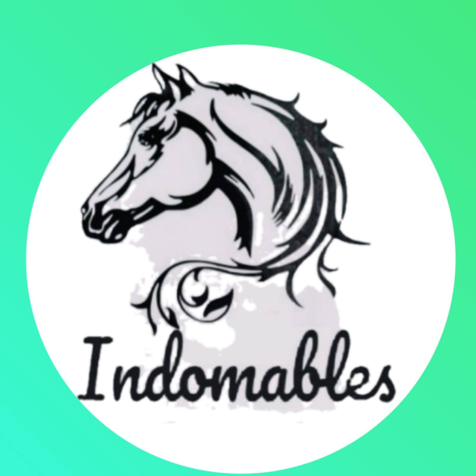 Indomables, equipo newcom