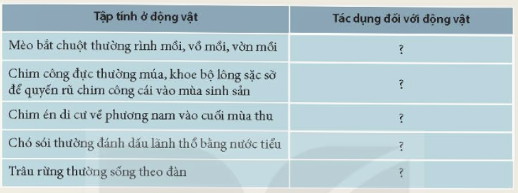 BÀI 33. CẢM ỨNG Ở SINH VẬT VÀ TẬP TÍNH Ở ĐỘNG VẬT MỞ ĐẦUCâu hỏi: Khi ta chạm tay vào lá cây trinh nữ (xấu hổ), lá cây sẽ cụp lại (hình dưới đây). Đây là hiện tượng gì? Hiện tượng này có ý nghĩa như thế nào đối với sinh vật?Đáp án chuẩn:Hiện tượng cảm ứng ở sinh vật, giúp cây thích nghi đa dạng đối với sự biến đổi của môi trường, đảm bảo cho cây tồn tại và phát triển.I. Cảm ứng và vai trò của cảm ứng ở sinh vật1. Cảm ứng ở sinh vật là gì?Câu 1: Quan sát hình 33.1 và hoàn thành theo mẫu bảng 33.1Đáp án chuẩn:HìnhKích thíchPhản ứngaÁnh sángNgọn cây hướng về phía có ánh sángbNướcRễ cây hướng đến phía nguồn nướccNhiệt độ thấp/caoRun rẩy/ toát mồ hôidTiếng gà mẹGà con chạy đến nơi có gà mẹeGiá thểCây bám vào giá thểCâu 2: Nêu thêm một số ví dụ về hiện tượng cảm ứng ở thực vật và động vật. Chỉ rõ tác nhân kích thích và phản ứng của sinh vậtĐáp án chuẩn:Con người nổi da gà khi trời lạnh, cây hoa quỳnh nở vào ban đêm.2. Vai trò của cảm ứng ở sinh vậtCâu hỏi: Nếu các sinh vật không có phản ứng đối với các kích thích đến từ môi trường (ví dụ cây ở hình 33.1.a) không có phản ứng hướng về phía có ánh sáng) thì điều gì sẽ xảy ra? Từ đó cho biết vai trò của cảm ứng đối với sinh vật.Đáp án chuẩn:Sinh vật sẽ không thích ứng được những thay đổi của môi trường sống. Cảm ứng giúp sinh vật thích ứng với những thay đổi của môi trường để tồn tại và phát triển.II. TẬP TÍNH Ở ĐỘNG VẬT1. Tập tính là gì?Câu 1: Đặt tên tập tính của các động vật thể hiện trong hình 33.2a, b, c, dĐáp án chuẩn:Tập tính di cư của chim.Tập tính sống bày đàn của trâu rừng.Tập tính kiếm ăn của mèo.Tập tính chăm sóc con non của chim.Câu 2: Lấy thêm ví dụ về tập tính ở người và động vậtĐáp án chuẩn:Ví dụ: dừng xe khi gặp đèn đỏ, ve sầu kêu vào mùa hè,...2. Vai trò của tập tính