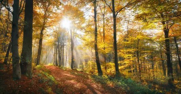25 Morning Landscapes That Radiate Peace, morning peace, calm light, nature, landscape, sunrise nature, soft start