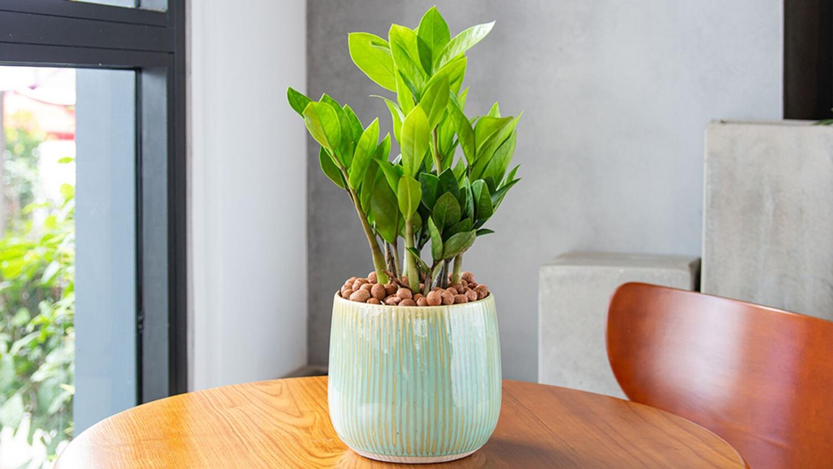 Cách Khắc Phục Lỗi Rút Tiền Tại J88 Dành Cho Người Chơi-2
