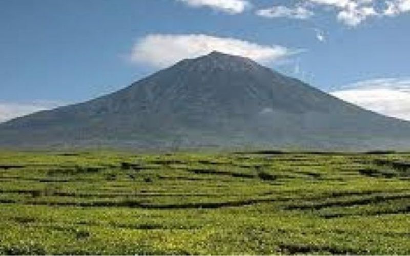 gunung di kalimantan