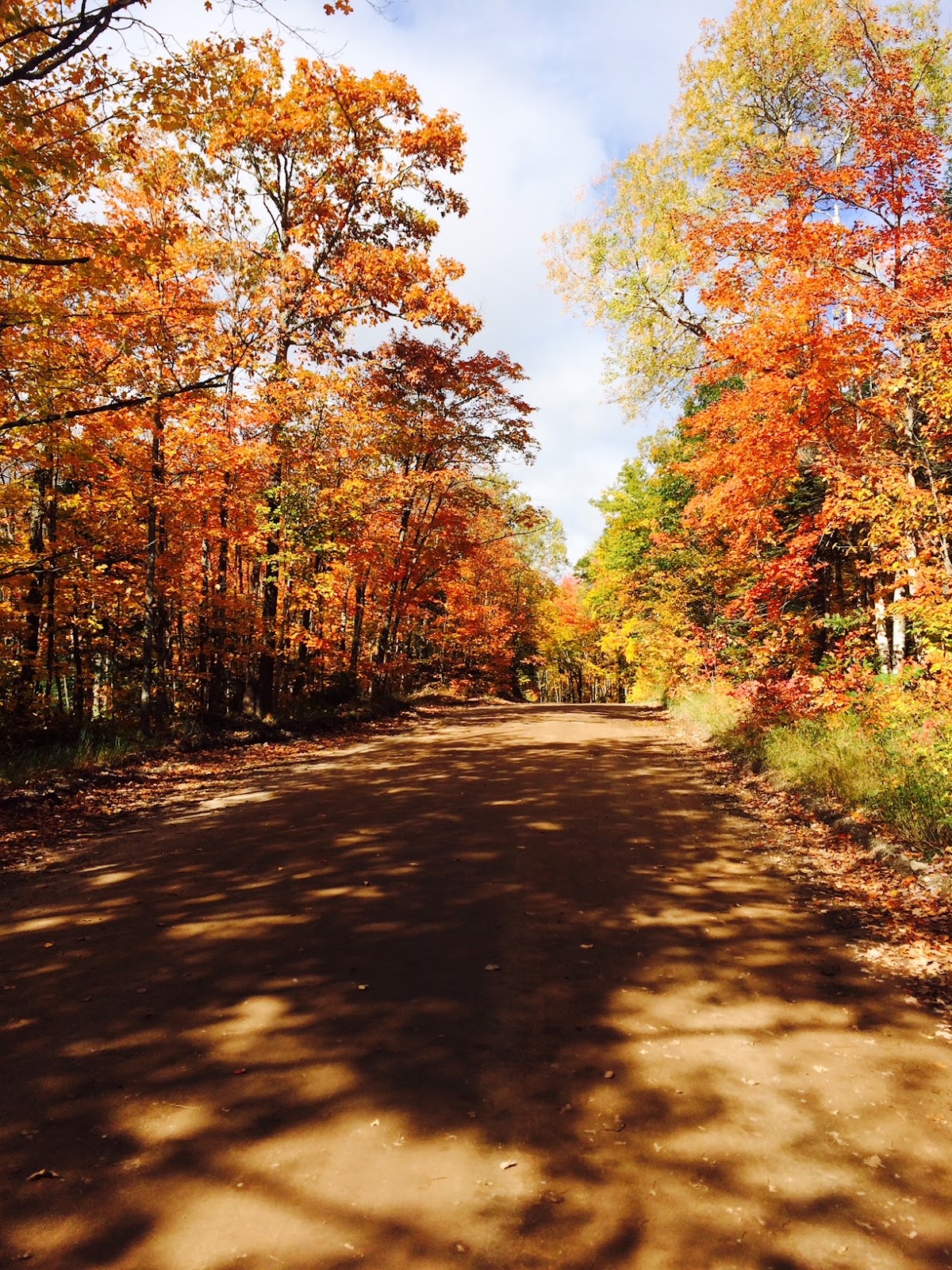 Fall Foliage from Upper Michigan